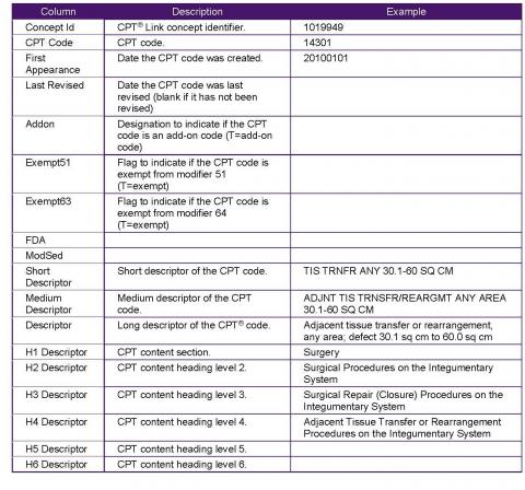 CPT Implementation Guide: Component 9 Technical Requirements | CPT